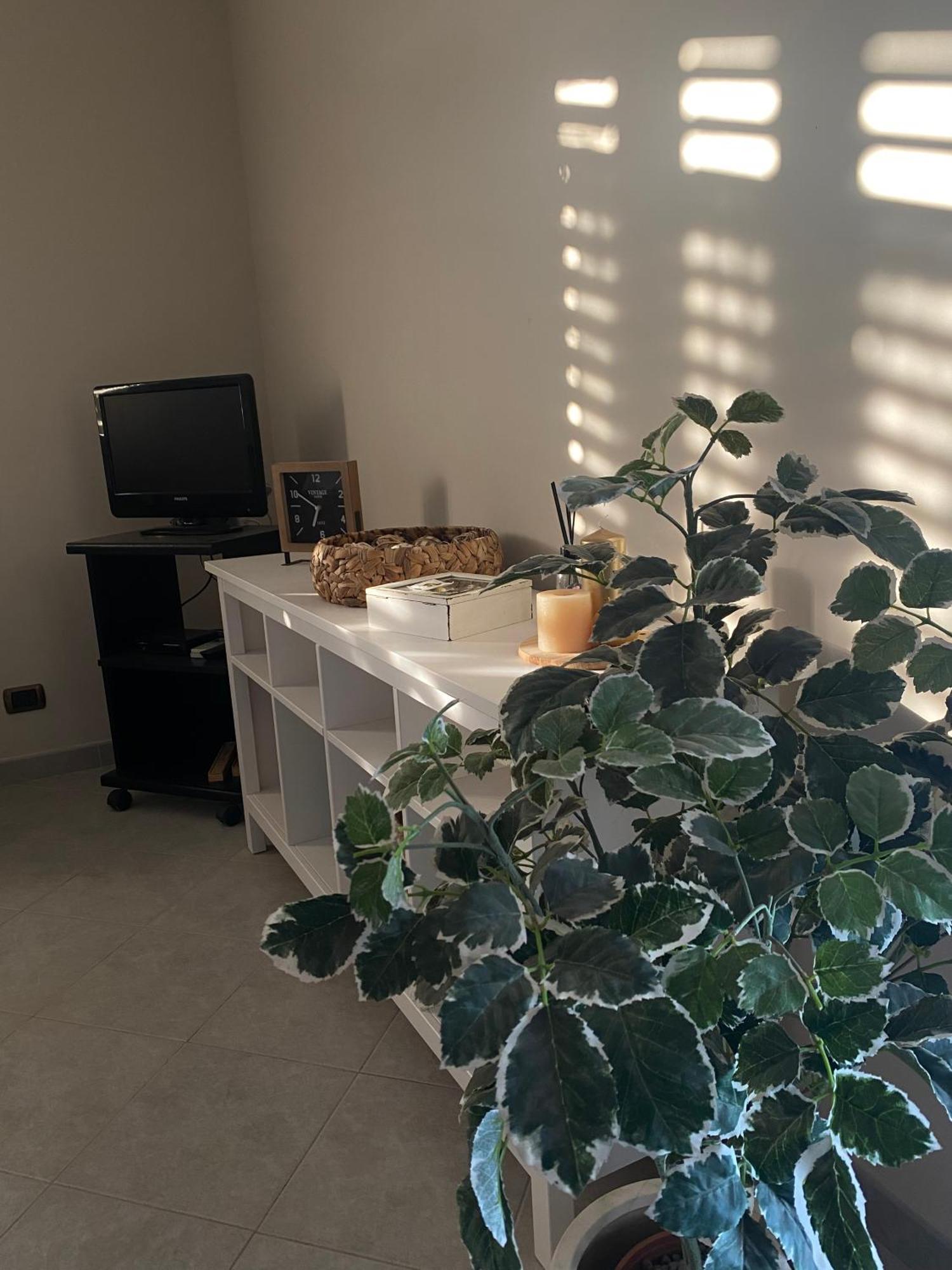 Maeri Home أوغوستا المظهر الخارجي الصورة